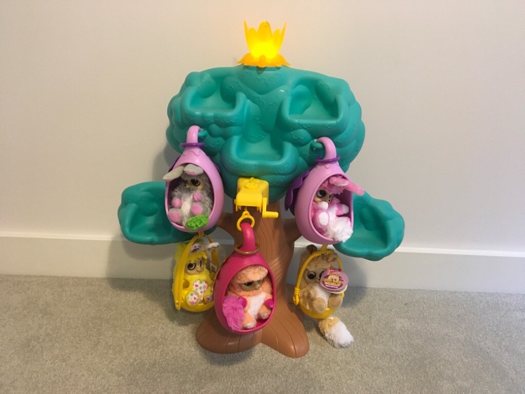 bush baby dream tree